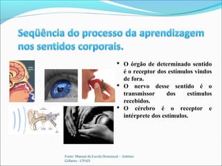Fonte: Manual da Escola Dominical – Antônio
Gilberto - CPAD
 O órgão de determinado sentido
é o receptor dos estímulos vindos
de fora.
 O nervo desse sentido é o
transmissor dos estímulos
recebidos.
 O cérebro é o receptor e
intérprete dos estímulos.
 