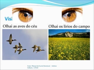 Olhai as aves do céu
Fonte: Manual da Escola Dominical – Antônio
Gilberto - CPAD
Olhai os lírios do campo
 