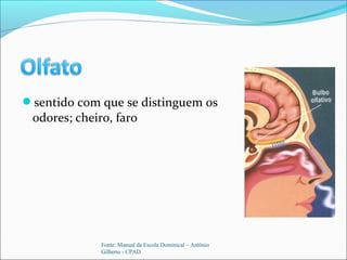 sentido com que se distinguem os
odores; cheiro, faro
Fonte: Manual da Escola Dominical – Antônio
Gilberto - CPAD
 
