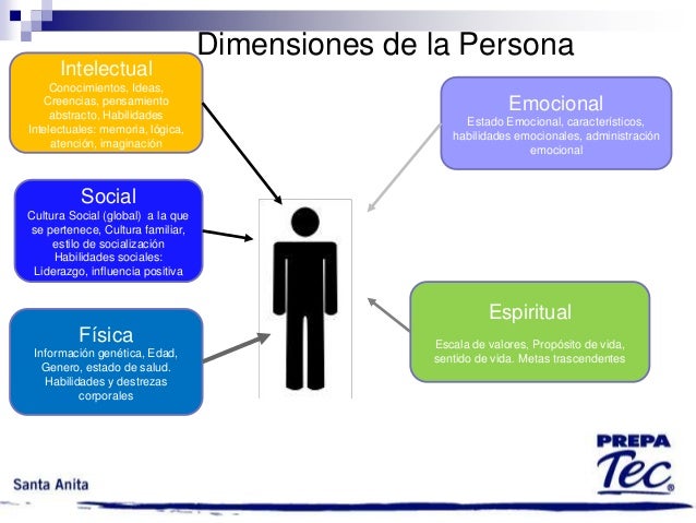 1. presentacion y dimensiones de la persona