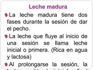 Leche madura
La leche madura tiene dos
fases durante la sesión de dar
el pecho.
La leche que fluye al inicio de
una sesión se llama leche
inicial o primera. (Rica en agua
y lactosa)
Al prolongarse la sesión, la
 