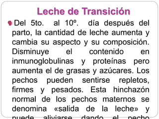 Leche de Transición
Del 5to. al 10º. día después del
parto, la cantidad de leche aumenta y
cambia su aspecto y su composición.
Disminuye el contenido en
inmunoglobulinas y proteínas pero
aumenta el de grasas y azúcares. Los
pechos pueden sentirse repletos,
firmes y pesados. Esta hinchazón
normal de los pechos maternos se
denomina «salida de la leche» y
 