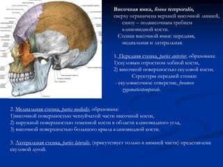 Височная ямка, fossa temporalis, 
сверху ограничена верхней височной линией, 
снизу – подвисочным гребнем 
клиновидной кости. 
Стенки височной ямки: передняя, 
медиальная и латеральная. 
1. Передняя стенка, paries anterior, образована: 
1)скуловым отростком лобной кости, 
2) височной поверхностью скуловой кости. 
Структуры передней стенки: 
- скуловисочное отверстие, foramen 
zygomaticotemporale. 
2. Медиальная стенка, paries medialis, образована: 
1)височной поверхностью чешуйчатой части височной кости, 
2) наружной поверхностью теменной кости в области клиновидного угла, 
3) височной поверхностью большого крыла клиновидной кости. 
3. Латеральная стенка, paries lateralis, (присутствует только в нижней части) представлена 
скуловой дугой. 
 