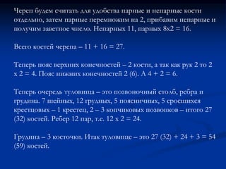 Череп будем считать для удобства парные и непарные кости 
отдельно, затем парные перемножим на 2, прибавим непарные и 
получим заветное число. Непарных 11, парных 8х2 = 16. 
Всего костей черепа – 11 + 16 = 27. 
Теперь пояс верхних конечностей – 2 кости, а так как рук 2 то 2 
х 2 = 4. Пояс нижних конечностей 2 (6). А 4 + 2 = 6. 
Теперь очередь туловища – это позвоночный столб, ребра и 
грудина. 7 шейных, 12 грудных, 5 поясничных, 5 сросшихся 
крестцовых – 1 крестец, 2 – 3 копчиковых позвонков – итого 27 
(32) костей. Ребер 12 пар, т.е. 12 х 2 = 24. 
Грудина – 3 косточки. Итак туловище – это 27 (32) + 24 + 3 = 54 
(59) костей. 
 