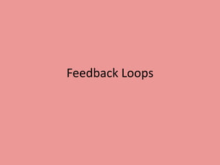 Feedback Loops 
 