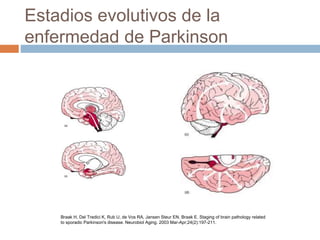 Enfermedad De Parkinson Trastornos Cognitivos Y Demencia PPTX enfermedad-de-parkinson-trastornos-cognitivos-y-demencia-pptx