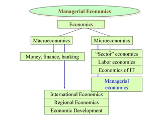 Managerial Economics 
Economics 
Macroeconomics 
Microeconomics 
Money, finance, banking 
“Sector” economics 
Labor economics 
Economics of IT 
International Economics 
Regional Economics 
Managerial 
economics 
Economic Development 
 