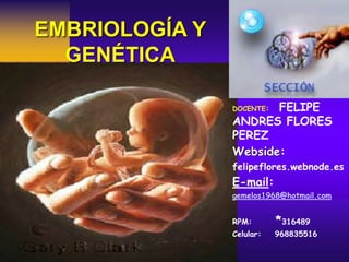 EMBRIOLOGÍA Y GENÉTICA 
DOCENTE: FELIPE ANDRES FLORES PEREZ 
Webside: 
felipeflores.webnode.es 
E-mail: 
gemelos1968@hotmail.com 
RPM: *316489 
Celular: 968835516  