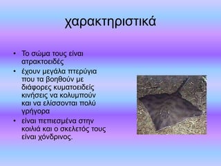 χαρακτηριστικά 
• Το σώμα τους είναι 
ατρακτοειδές 
• έχουν μεγάλα πτερύγια 
που τα βοηθούν με 
διάφορες κυματοειδείς 
κινήσεις να κολυμπούν 
και να ελίσσονται πολύ 
γρήγορα 
• είναι πεπιεσμένα στην 
κοιλιά και ο σκελετός τους 
είναι χόνδρινος. 
 