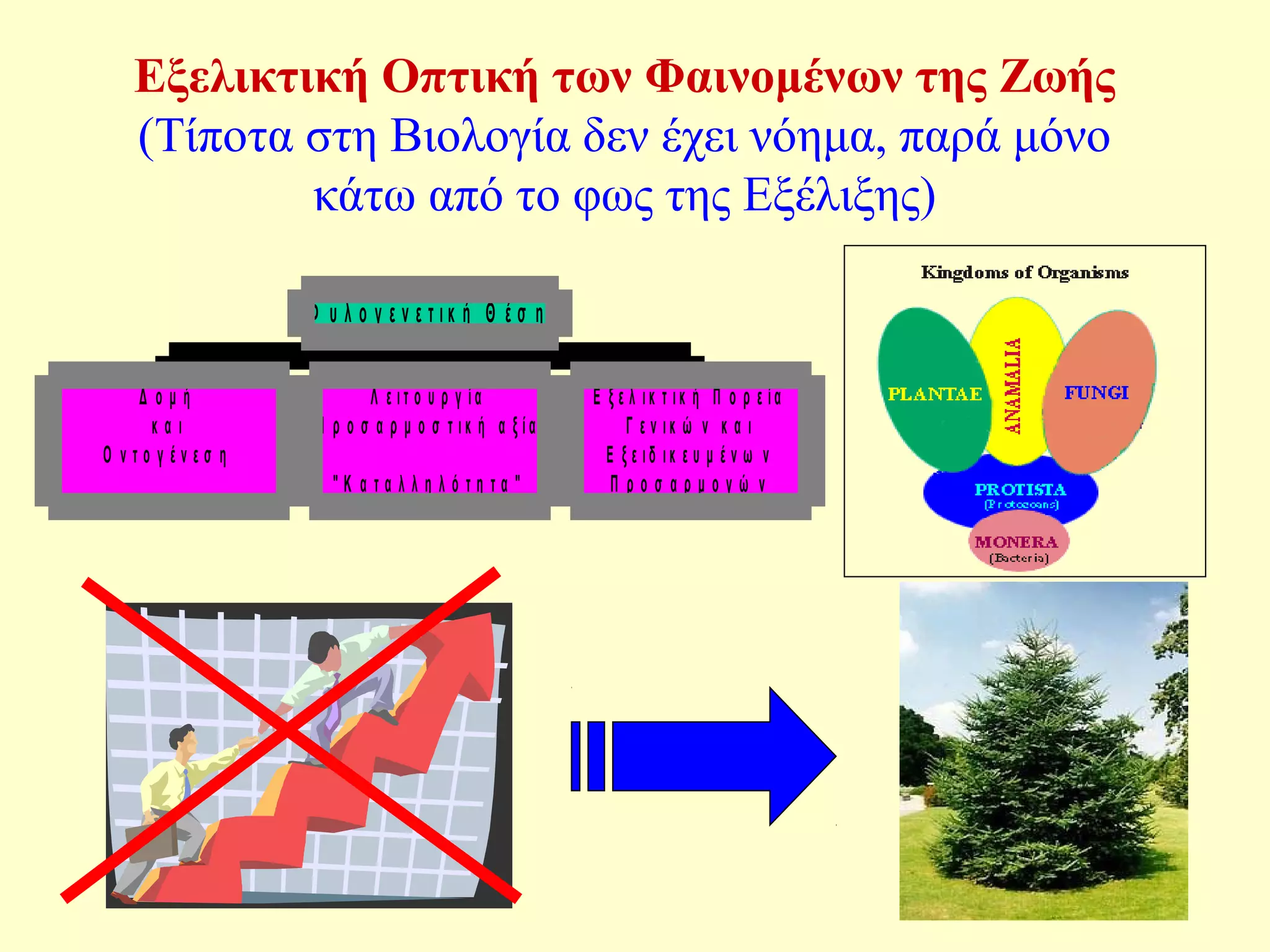 Εξελικτική Οπτική των Φαινομένων της Ζωής 
(Τίποτα στη Βιολογία δεν έχει νόημα, παρά μόνο 
κάτω από το φως της Εξέλιξης) 
Δ ο μ ή 
κ α ι 
Ο ν τ ο γ έ ν ε σ η 
Λ ε ι τ ο υ ρ γ ί α 
Π ρ ο σ α ρ μ ο σ τ ι κ ή α ξ ί α 
" Κ α τ α λ λ η λ ό τ η τ α " 
Ε ξ ε λ ι κ τ ι κ ή Π ο ρ ε ί α 
Γ ε ν ι κ ώ ν κ α ι 
Ε ξ ε ι δ ι κ ε υ μ έ ν ω ν 
Π ρ ο σ α ρ μ ο γ ώ ν 
Φ υ λ ο γ ε ν ε τ ι κ ή Θ έ σ η 
 