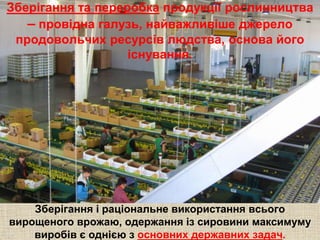 Зберігання та переробка продукції рослинництва 
– провідна галузь, найважливіше джерело 
продовольчих ресурсів людства, основа його 
існування. 
Зберігання і раціональне використання всього 
вирощеного врожаю, одержання із сировини максимуму 
виробів є однією з основних державних задач. 
 