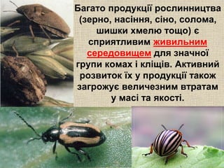 Багато продукції рослинництва 
(зерно, насіння, сіно, солома, 
шишки хмелю тощо) є 
сприятливим живильним 
середовищем для значної 
групи комах і кліщів. Активний 
розвиток їх у продукції також 
загрожує величезним втратам 
у масі та якості. 
 