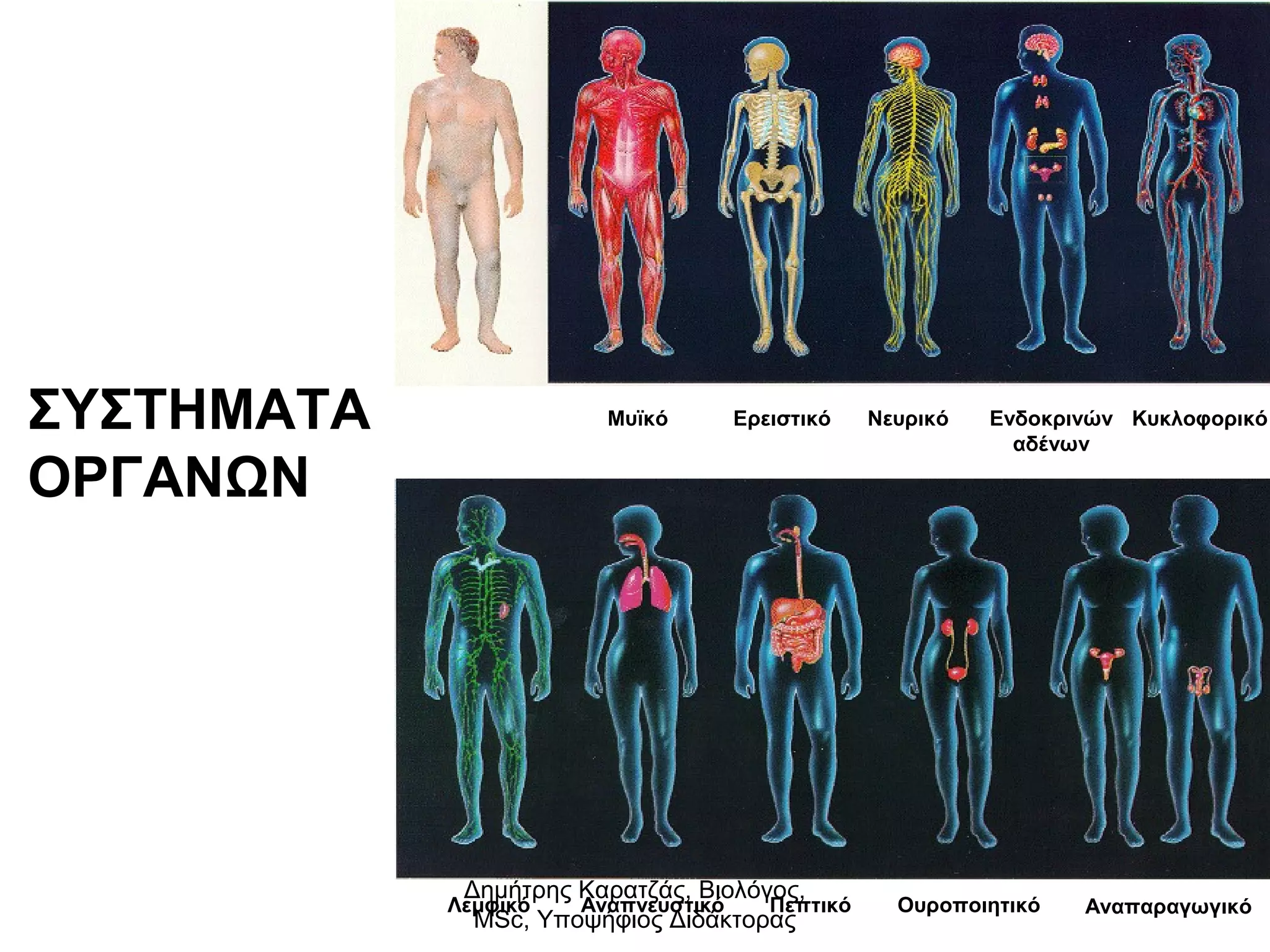 ΣΥΣΤΗΜΑΤΑ 
ΟΡΓΑΝΩΝ 
Μυϊκό Ερειστικό Νευρικό Κυκλοφορικό 
Ενδοκρινών 
αδένων 
Δημήτρης Καρατζάς, Βιολόγος, 
MSc, Υποψήφιος Διδάκτορας 
Λεμφικό Αναπνευστικό Πεπτικό Ουροποιητικό Αναπαραγωγικό 
