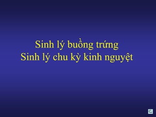 BÀI GIẢNG CHI TIẾT VỀ SINH LÝ HỌC CHU KỲ KINH NGUYỆT CHO SINH VIÊN Y KHOA