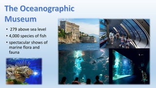 • 279 above sea level
• 4,000 species of fish
• spectacular shows of
marine flora and
fauna