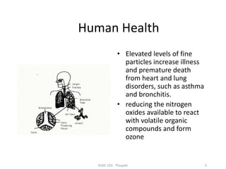 Human Health 
• Elevated levels of fine 
particles increase illness 
and premature death 
from heart and lung 
disorders, such as asthma 
and bronchitis. 
• reducing the nitrogen 
oxides available to react 
with volatile organic 
compounds and form 
ozone 
EGEE 102 - Pisupati 5 
 