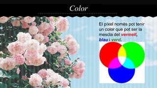 El píxel nomès pot tenir 
un color que pot ser la 
mescla del vermell, 
blau i verd. 
Color 
 