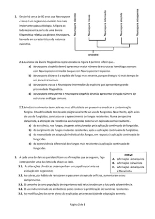 Página 2 de 5 
2. Desde há cerca de 80 anos que Neurospora crassa é um organismo-modelo dos mais importantes para a Biologia. A figura ao lado representa parte de uma árvore filogenética relativa ao género Neurospora, baseada em características de natureza evolutiva. 
2.1. A análise da árvore filogenética representada na Figura 4 permite inferir que… 
a) Neurospora sitophila deverá apresentar maior número de estruturas homólogas comuns com Neurospora intermedia do que com Neurospora tetrasperma. 
b) Neurospora discreta é a espécie de fungo mais recente, porque divergiu há mais tempo de um ancestral comum. 
c) Neurospora crassa e Neurospora intermedia são espécies que apresentam grande proximidade filogenética. 
d) Neurospora tetrasperma e Neurospora sitophila deverão apresentar elevado número de estruturas análogas comuns. 
2.2. A indústria alimentar tem cada vez mais dificuldade em prevenir e erradicar a contaminação fúngica. Esta dificuldade tem levado progressivamente ao uso de fungicidas. No entanto, após anos de uso de fungicidas, constatou-se o aparecimento de fungos resistentes. Numa perspectiva darwinista, a alteração da resistência aos fungicidas poderia ser explicada como resultante… 
a) da existência, nos fungos, de genes seleccionados pela aplicação continuada de fungicidas. 
b) do surgimento de fungos mutantes resistentes, após a aplicação continuada de fungicidas. 
c) da necessidade de adaptação individual dos fungos, em resposta à aplicação continuada de fungicidas. 
d) da sobrevivência diferencial dos fungos mais resistentes à aplicação continuada de fungicidas. 
3. A cada uma das letras que identificam as afirmações que se seguem, faça corresponder uma das letras da chave ao lado. 
3.1. As alterações climáticas desempenham um papel importante na evolução dos organismos 
3.2. As cobras, por hábito de rastejarem e passarem através de orifícios, aumentaram o seu comprimento. 
3.3. O tamanho de uma população de organismos está relacionado com a luta pela sobrevivência. 
3.4. O uso indiscriminado de antibióticos pode conduzir à proliferação de bactérias resistentes. 
3.5. As modificações dos seres vivos são explicadas pela necessidade de adaptação ao meio. 
CHAVE 
A. Afirmação Lamarquista 
B. Afirmação Darwinista 
C. Afirmação Lamarquista e Darwinista  