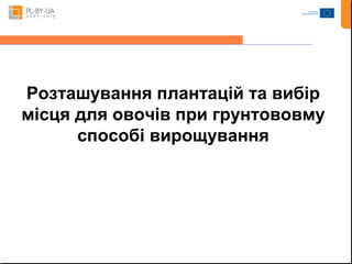 Розташування плантацій та вибір 
місця для овочів при грунтововму 
способі вирощування 
 