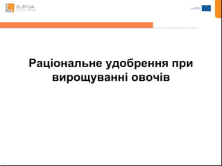 Раціональне удобрення при 
вирощуванні овочів 
 