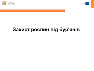 Захист рослин від бур'янів 
 