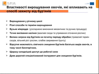 Властивості вирощування овочів, які впливають на 
спосіб захисту від бур'янів 
 Вирощування у річному циклі 
 Різні способи та терміни вирощування 
 Вузьке міжряддя (ускладнене виконання механічних та ручних процедур) 
 Точне висівання насіння (важливі сходи та утримання оточення рослин) 
 Велика загроза від бур'янів на початку періоду обробки (тривалий термін 
сходів, вільний ріст рослин, слабке закривання ґрунту) 
 Відсутня можливість хімічного знищення бур'янів багатьох видів овочів, в 
тому числі багаторічних. 
 Щоразу складніший доступ до робочої сили 
 Дуже дорогий спеціалізований інструмент для знищення бур'янів. 
 