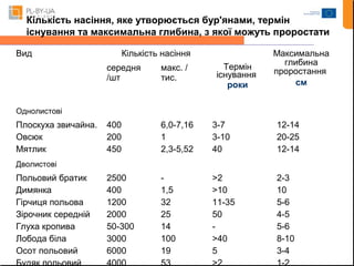 Кількість насіння, яке утворюється бур'янами, термін 
існування та максимальна глибина, з якої можуть проростати 
Вид Кількість насіння 
Термін 
існування 
роки 
Максимальна 
глибина 
проростання 
см 
середня 
/шт 
макс. / 
тис. 
Однолистові 
Плоскуха звичайна. 
Овсюк 
Мятлик 
400 
200 
450 
6,0-7,16 
1 
2,3-5,52 
3-7 
3-10 
40 
12-14 
20-25 
12-14 
Дволистові 
Польовий братик 
Димянка 
Гірчиця польова 
Зірочник середній 
Глуха кропива 
Лобода біла 
Осот польовий 
Будяк польовий 
2500 
400 
1200 
2000 
50-300 
3000 
6000 
4000 
- 
1,5 
32 
25 
14 
100 
19 
53 
>2 
>10 
11-35 
50 
- 
>40 
5 
>2 
2-3 
10 
5-6 
4-5 
5-6 
8-10 
3-4 
1-2 
 