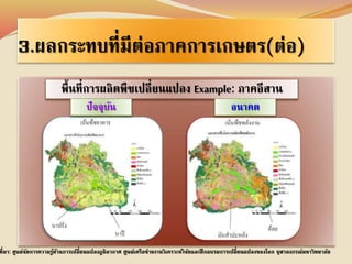 3.ผลกระทบที่มีต่อภาคการเกษตร(ต่อ) 
พื้นที่การผลิตพืชเปลี่ยนแปลง Example: ภาคอีสาน 
ปัจจุบัน อนาคต 
ที่มา: ศูนย์จัดการความรู้ด้านการเปลี่ยนแปลงภูมิอากาศ ศูนย์เครือข่ายงานวิเคราะห์วิจัยและฝึกอบรมการเปลี่ยนแปลงของโลก จุฬาลงกรณ์มหาวิทยาลัย 
 