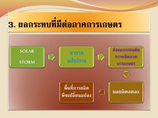 3. ผลกระทบที่มีต่อภาคการเกษตร 
SOLAR 
STORM 
อากาศ 
แปรปรวน 
ส่งผลกระทบต่อ 
การผลิตภาค 
การเกษตร 
พื้นทีผลผลิตลดลง่การผลิต 
พืชเปลี่ยนแปลง 
 