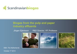 Biogas from the pulp and paper 
industry effluents 
Jörgen Ejlertsson R&D Director, VP, Professor 
EBA: The Netherlands 
October 1st 2014 
 