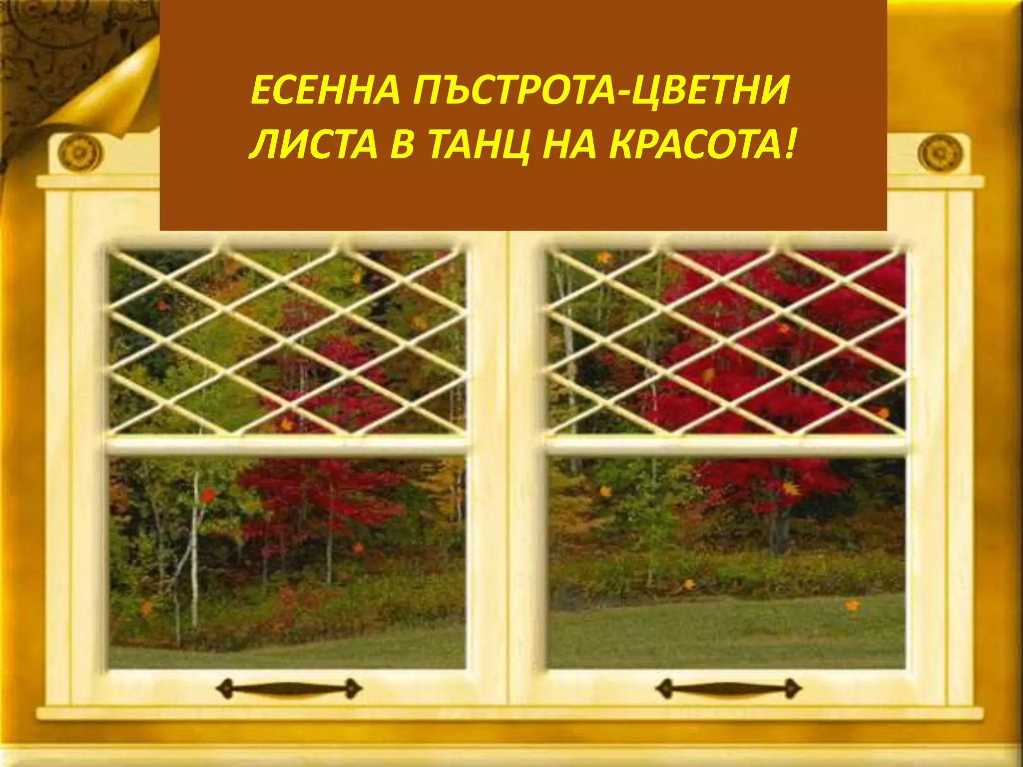 ЕСЕННА ПЪСТРОТА-ЦВЕТНИ 
ЛИСТА В ТАНЦ НА КРАСОТА! 
 
