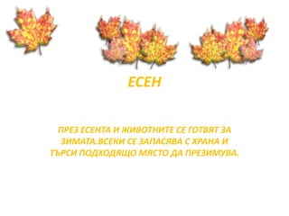 ЕСЕН 
ПРЕЗ ЕСЕНТА И ЖИВОТНИТЕ СЕ ГОТВЯТ ЗА 
ЗИМАТА.ВСЕКИ СЕ ЗАПАСЯВА С ХРАНА И 
ТЪРСИ ПОДХОДЯЩО МЯСТО ДА ПРЕЗИМУВА. 
 