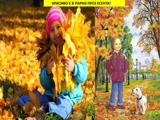 КРАСИВО Е В ПАРКА ПРЕЗ ЕСЕНТА! 
Осень очень красивое время года! 
 