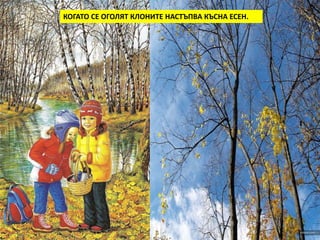 Постепенно деревья теряют все свои листья, их ветки остаются совсем 
КОГАТО СЕ ОГОЛЯТ КЛОНИТЕ НАСТЪПВА КЪСНА ЕСЕН. 
голыми. Наступает поздняя осень. 
 