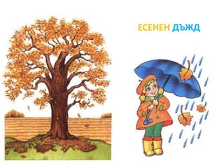 ЕСЕНЕН ДЪЖД 
 