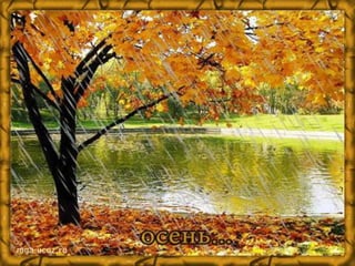 Вместе с холодами осенью начинаются дожди. Все чаще моросит 
осенний дождик. 
 