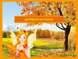 ДАРОВЕТЕ НА ЕСЕНТА 
 