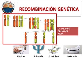 RECOMBINACIÓN GENÉTICA 
Lic. ORLANDO 
GRANADOS 
MEJÍA 
Medicina Psicología Odontología Enfermería 
 