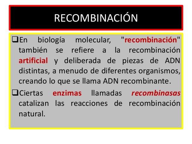 recombinacion genetica ppt Recombinación genética ppt video online descargar.