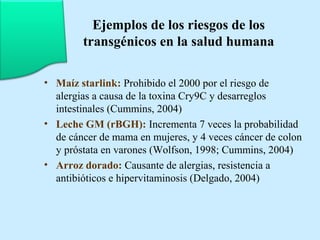 Ejemplos de los riesgos de los 
transgénicos en la salud humana 
• Maíz starlink: Prohibido el 2000 por el riesgo de 
alergias a causa de la toxina Cry9C y desarreglos 
intestinales (Cummins, 2004) 
• Leche GM (rBGH): Incrementa 7 veces la probabilidad 
de cáncer de mama en mujeres, y 4 veces cáncer de colon 
y próstata en varones (Wolfson, 1998; Cummins, 2004) 
• Arroz dorado: Causante de alergias, resistencia a 
antibióticos e hipervitaminosis (Delgado, 2004) 
 