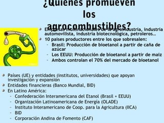 ¿Quiénes promueven 
los 
agrocombustibles? Empresas multinacionales de la agroindustria, industria 
automovilista, industria biotecnológica, petroleros… 
10 países productores entre los que sobresalen: 
– Brasil: Producción de bioetanol a partir de caña de 
azúcar 
– Los EEUU: Producción de bioetanol a partir de maíz 
– Ambos controlan el 70% del mercado de bioetanol 
Países (UE) y entidades (institutos, universidades) que apoyan 
investigación y expansión 
Entidades financieras (Banco Mundial, BID) 
En Latino América: 
– Confederación Interamericana del Etanol (Brasil + EEUU) 
– Organización Latinoamericana de Energía (OLADE) 
– Instituto Interamericano de Coop. para la Agricultura (IICA) 
– BID 
– Corporación Andina de Fomento (CAF) 
 