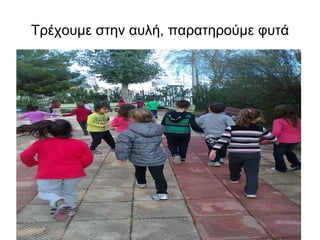 Τρέχουμε στην αυλή, παρατηρούμε φυτά  