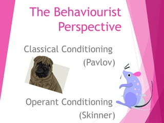 The Behaviourist 
Perspective 
Classical Conditioning 
(Pavlov) 
Operant Conditioning 
(Skinner) 
 