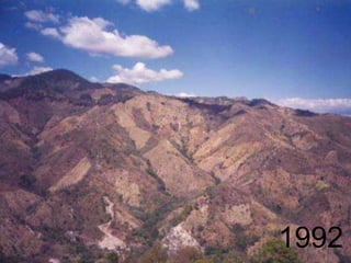 Sistema agroforestal Quesungual: Honduras