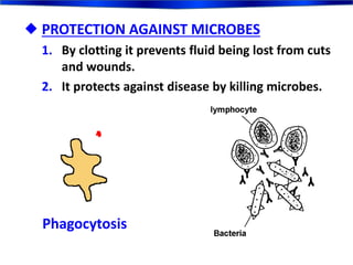 Biology Form 5 Chapter 1 : 1.1 -1.4 | PPTX