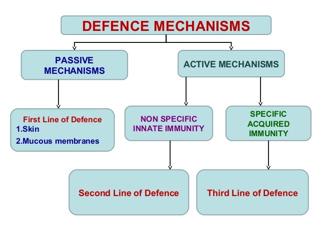 biology form 5 chapter 1 1 5 body defence mechanism defense mechanisms chart