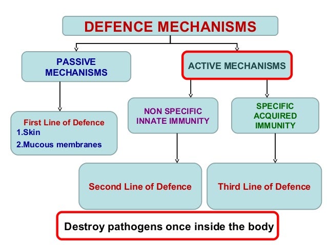 body defense 5 mechanisms BODY 1 1.5 BIOLOGY FORM 5 MECHANISM CHAPTER DEFENCE body defense 5 mechanisms BODY 1 1.5 BIOLOGY FORM 5 MECHANISM CHAPTER DEFENCE