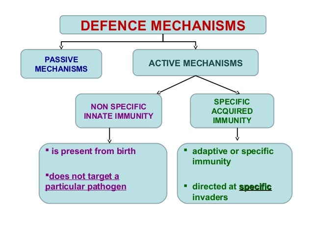 an overview of the pathogens biology in the immune system Biology: home animals overview the immune system the endocrine system the nervous system activates the adaptive immune system adaptive: specific to pathogen. an overview of the pathogens biology in the immune system Biology: home animals overview the immune system the endocrine system the nervous system activates the adaptive immune system adaptive: specific to pathogen.