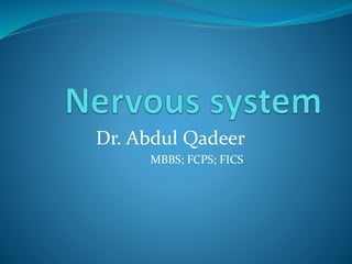 Dr. Abdul Qadeer 
MBBS; FCPS; FICS 
 