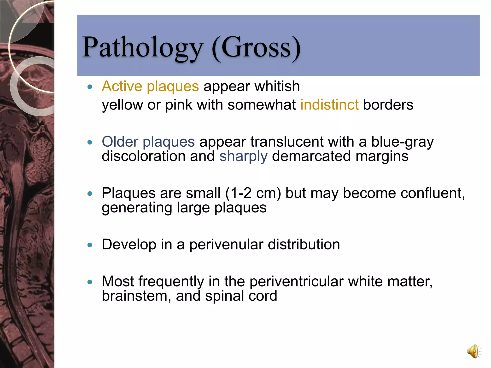 Pathology (Gross) 
 Active plaques appear whitish 
yellow or pink with somewhat indistinct borders 
 Older plaques appear translucent with a blue-gray 
discoloration and sharply demarcated margins 
 Plaques are small (1-2 cm) but may become confluent, 
generating large plaques 
 Develop in a perivenular distribution 
 Most frequently in the periventricular white matter, 
brainstem, and spinal cord 
 